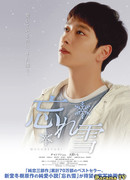 Забытый снег