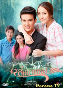 Дикий лебедь