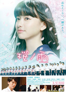 Дождь из лепестков сакуры