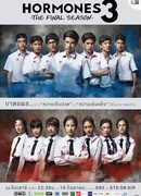 Гормоны 3: Последний сезон