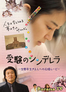 Спецкурсы для Золушки