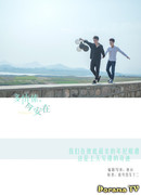 Чем больше чувств, тем безопаснее