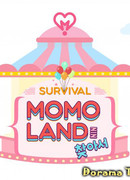 Survival, Find the Momoland