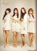 Дневники Secret