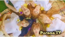 I.B.I