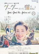 Кот по имени Гу Гу 2