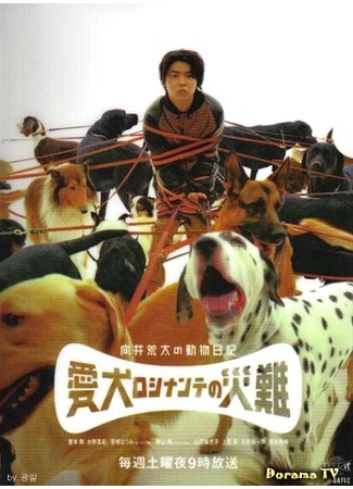 дорама Злоключения Росинанта, моей любимой собаки (Mukai Arata&#39;s Animal Diary: The Disaster of My Dog Rosinante: Mukai Arata no Dobutsu Nikki ~Aiken Rosinante no Sainan~) 03.10.16