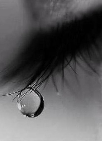 Когда трудно сдержать слёзы 19.11.16