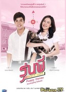 Тайная любовь: Милый щеночек