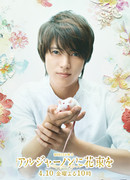 Цветы для Элджернона (2015)