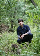 ДМЗ, Дикая природа