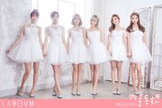 LABOUM