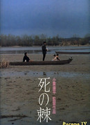 Смертельное жало