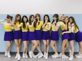 PRISTIN