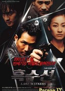 Последний свидетель