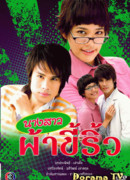 Госпожа дурнушка