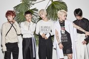 A.C.E