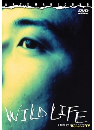 дорама Дикая жизнь (Wild Life (1997): ワイルドライフ) 17.07.17