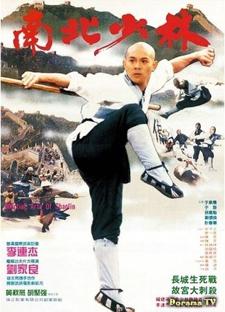 дорама Храм Шаолинь 3: Боевые искусства Шаолиня (The Shaolin Temple 3: Martial Arts of Shaolin: Nan bei Shao Lin) 27.07.17