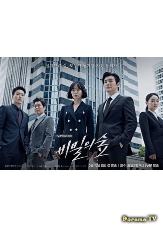 Адекватная главная героиня 02.08.17