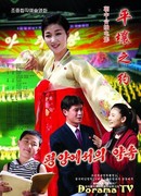 Встреча в Пхеньяне