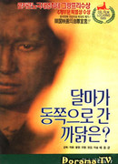 Почему Бодхидхарма ушел на Восток?