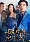 Обещание навеки