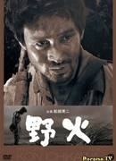 Полевые огни