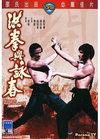 дорама Боевые искусства Шаолиня (Shao Lin Martial Arts: Hong quan yu yong chun) 27.10.17