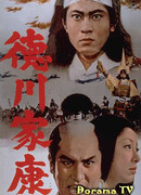 Князь Токугава Иэясу