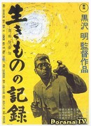 Я живу в страхе