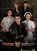 Чёрный коршун