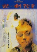 Луна – мечта солнца