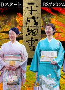 Снегопад эпохи Хэйсэй