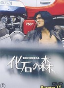 Окаменелый лес