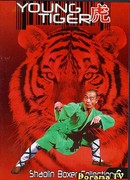 Молодой тигр