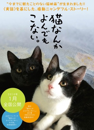 Романтика без романтики... интересные истории 20.05.18