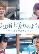 Любовь похожа на прошедший дождь: Желание в кармашке