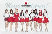 MOMOLAND