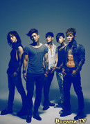 Dalmatian - Менеджер бастует