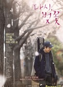 И снова вишня цветёт