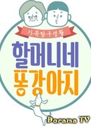 Бабушкин щенок