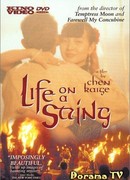 Жизнь на струне