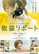 Путевые заметки кошки