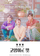 Кошачий бар