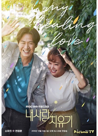 дорама Моя исцеляющая любовь (My Healing Love: Nae sarang chi yoogi) 11.10.18