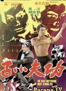 Он знает только кун-фу