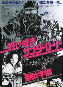 Дорога безумного грома