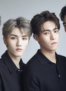 Профайлы BC221