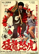 Брюс и кулак дракона